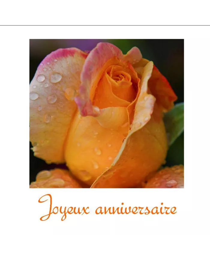 Carte C15 Anniversaire N°8890