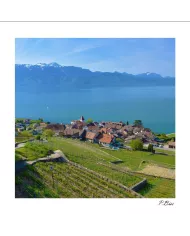 Carte C15 Lavaux N°1258