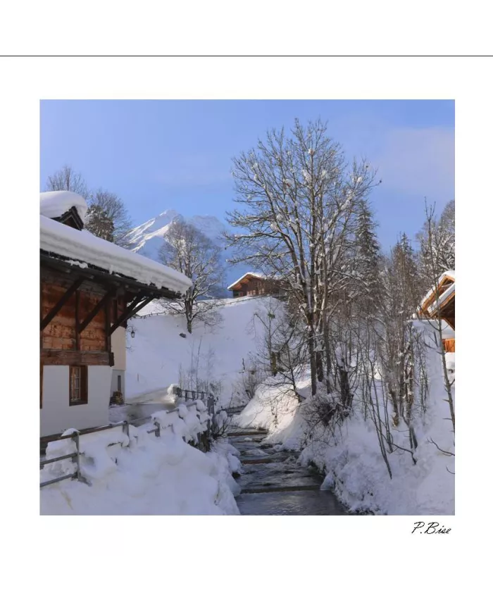 Carte C15 Hiver N°1121