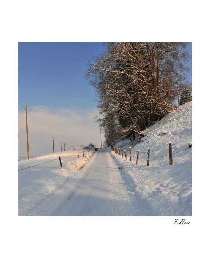 Carte C15 Hiver N°7942