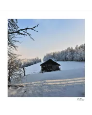 Carte C15 Hiver N°7949