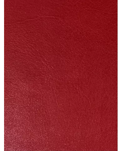 Livre d'or 20cm x 23cm rouge