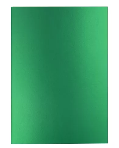 Carnet ligné A5 Colormat-X Vert