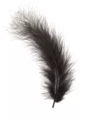 Plumes Marabout  jaune or