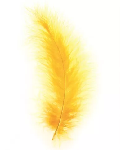 Plumes Marabout  jaune or