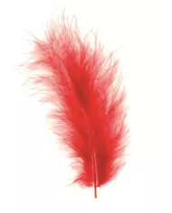 Plumes Marabout  jaune or