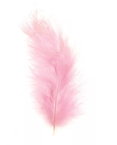 Plumes Marabout Rose