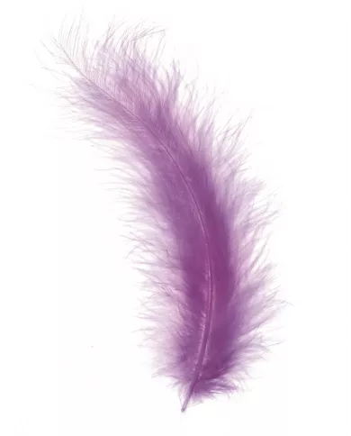 Plumes Marabout Lilas