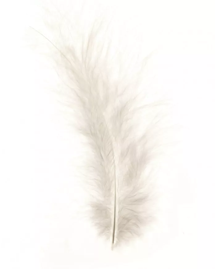 Plumes Marabout Blanc