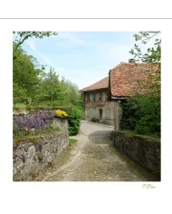 Carte Ambiance - 296-001