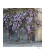 Carte Ambiance - 2933-001