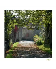 Carte Ambiance - 2933-001