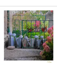 Cartes Ambiance - 648-001
