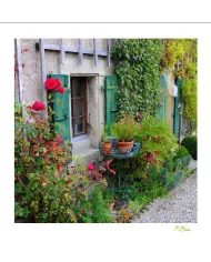 Cartes Ambiance - 6998-001