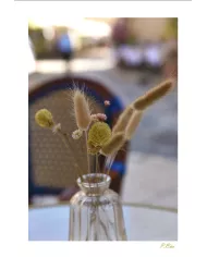 Cartes Ambiance - 3817-001