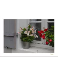 Cartes Ambiance - 4067-001