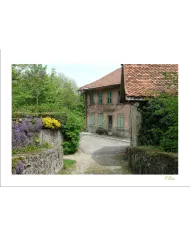 Cartes Ambiance - 388-001