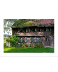 Cartes Ambiance - 388-001