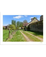 Cartes Ambiance - 3004-001