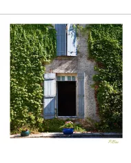 Cartes Ambiance C15 - 1466-001