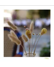 Cartes Ambiance C15 - 3006-001