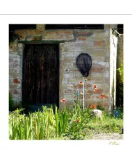 Cartes Ambiance C15 - 103957-001