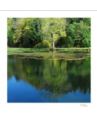 Cartes Eaux C15 - 957-002