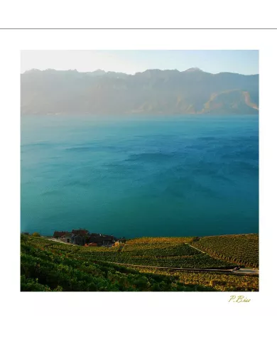 Cartes Lavaux - 59-41