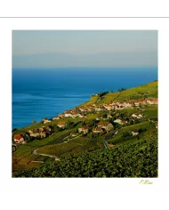 Cartes Lavaux - 59-41