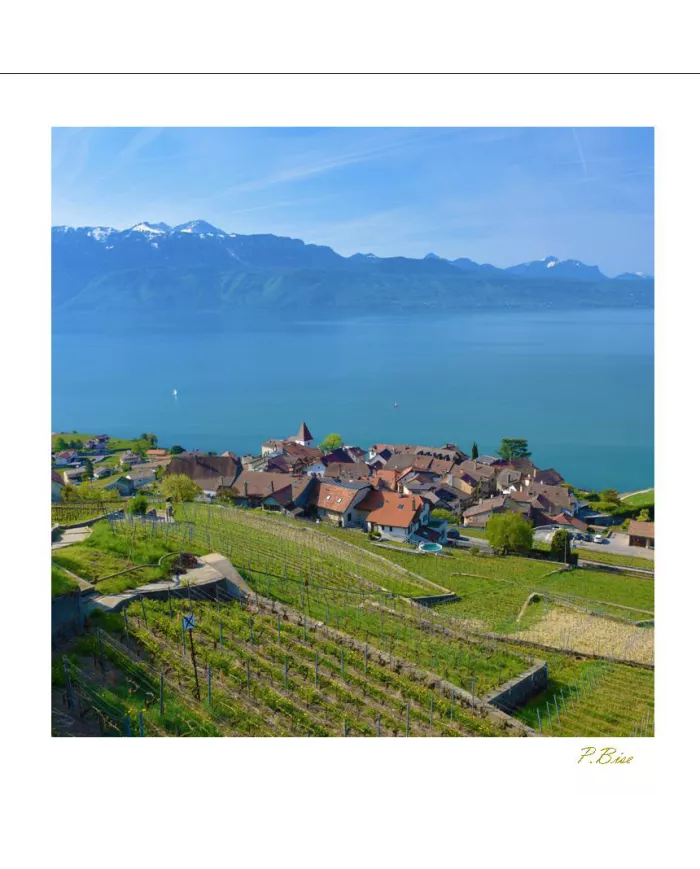 Cartes Lavaux - 1258-40