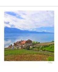 Cartes Lavaux - 2386-40
