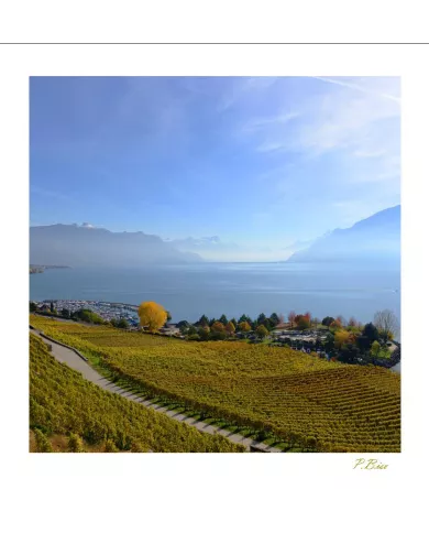 Cartes Lavaux - 4205-42