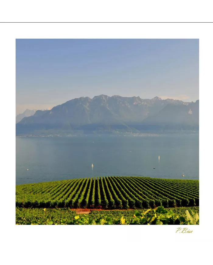 Cartes Lavaux - 9315-41
