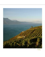 Cartes Lavaux - 73-41