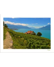 Cartes Lavaux - 812-41