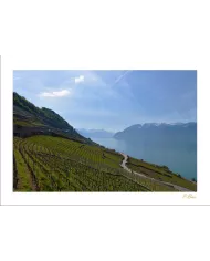 Cartes Lavaux - 812-41