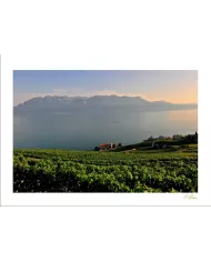 Cartes Lavaux C15 - 32-41