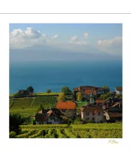 Cartes Lavaux C15 - 179-41