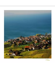 Cartes Lavaux C15 - 179-41