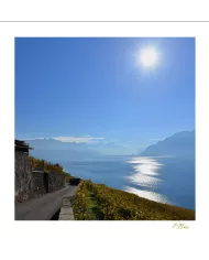 Cartes Lavaux C15 - 1034-42