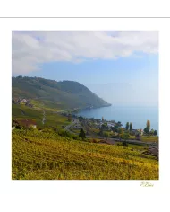 Cartes Lavaux C15 - 4108-42
