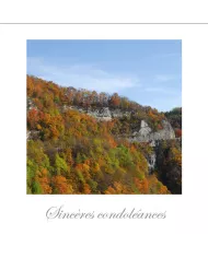Cartes Condoléances Ambiances - 370-001