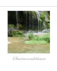 Cartes Condoléances Eaux - 329-002
