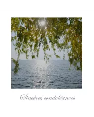 Cartes Condoléances Eaux - 3518-002