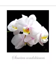 Cartes Condoléances Fleurs - 144-003