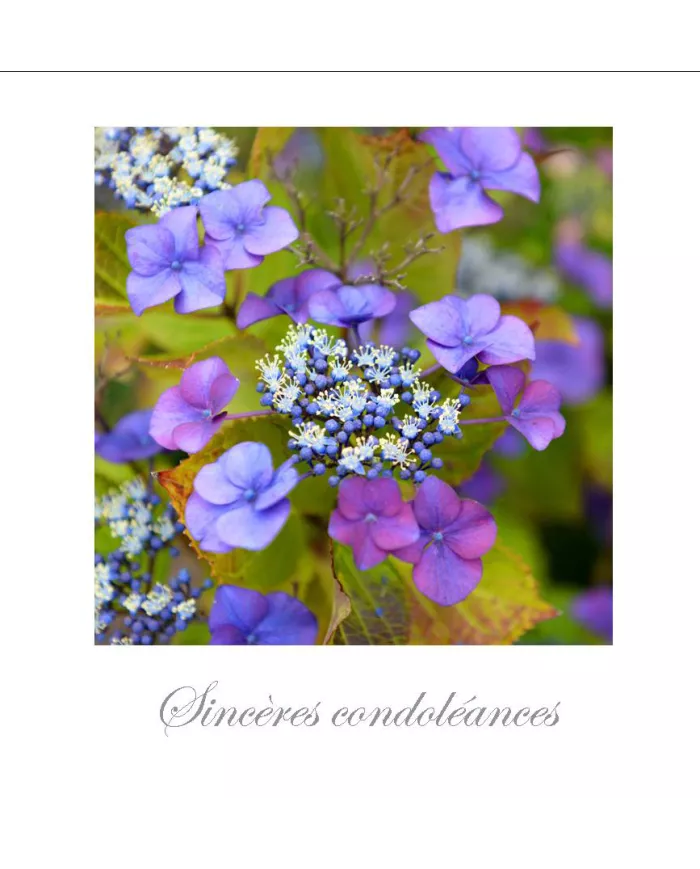 Cartes Condoléances Fleurs - 3532-003