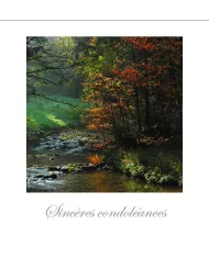Cartes Condoléances Forêts - 87-31