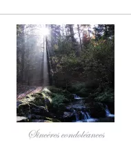 Cartes Condoléances Forêts - 109-31