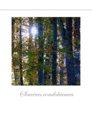 Cartes Condoléances Forêts - 109-31