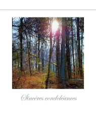 Cartes Condoléances Lavaux - 35-42